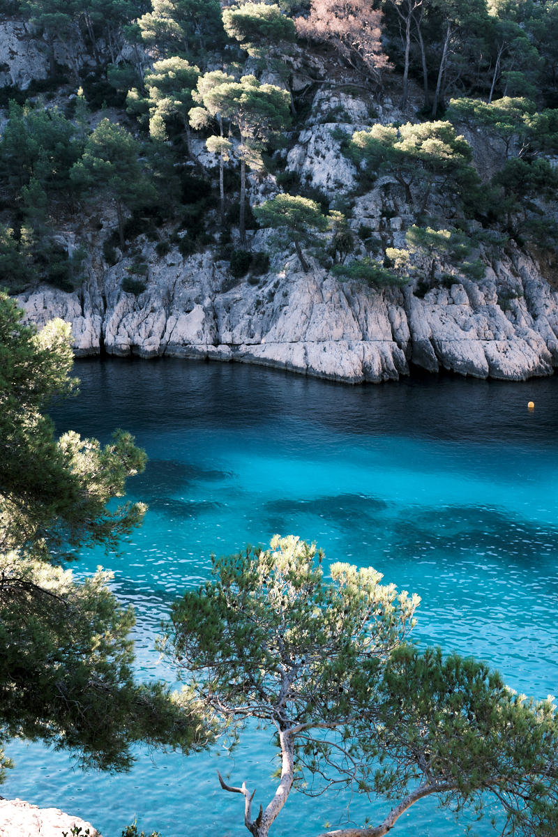 Thalssophile Calangue